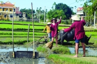Hướng đi bền vững chop/du lịch nông thôn Quảng Nam